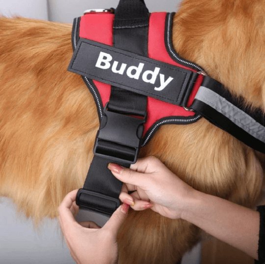 Load image into Gallery viewer, Personalised Dog Harness Vest
