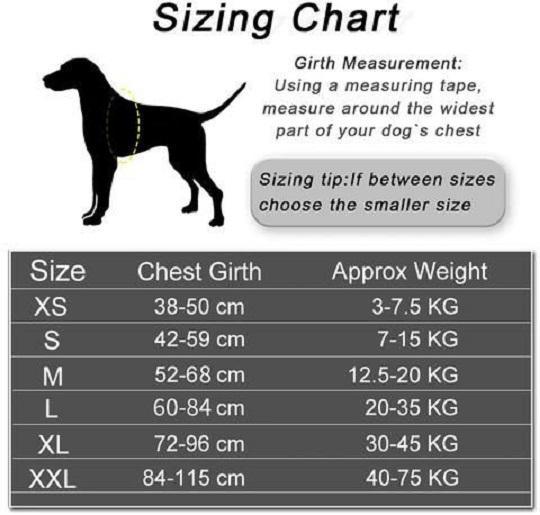 Load image into Gallery viewer, Size chart personalised dog harness Australia
