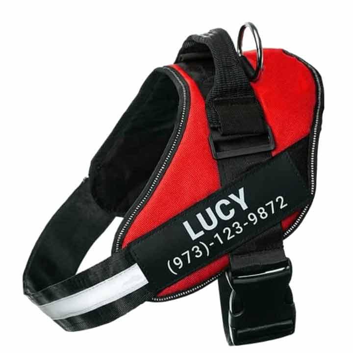 Load image into Gallery viewer, Personalised Dog Harness

