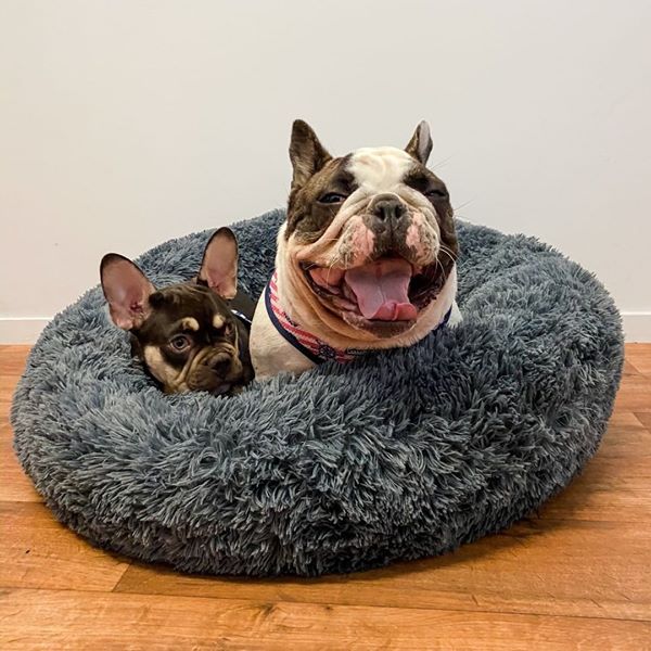 Load image into Gallery viewer, Anti Anxiety pet bed Australia
